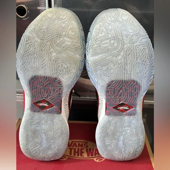 LeBron James 20 - Picture 5 of 5